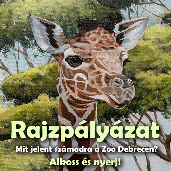 Országos jubileumi rajzpályázatot hirdet a Zoo Debrecen!