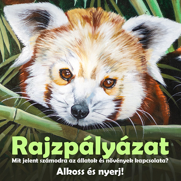 Az Állatok Világhete alkalmából országos rajzpályázatot indít a Zoo Debrecen!