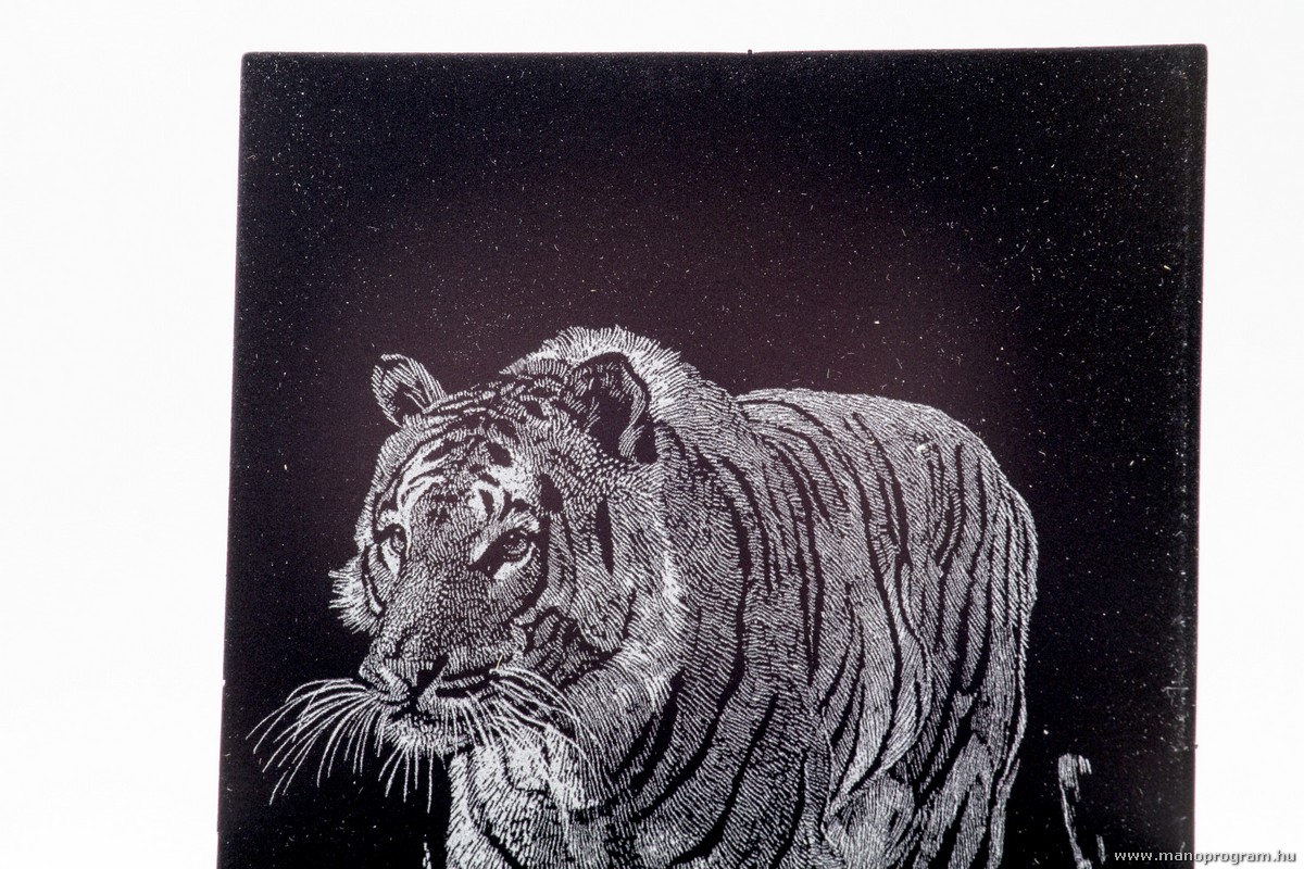 Mini Scraper Képkarcoló - tigris