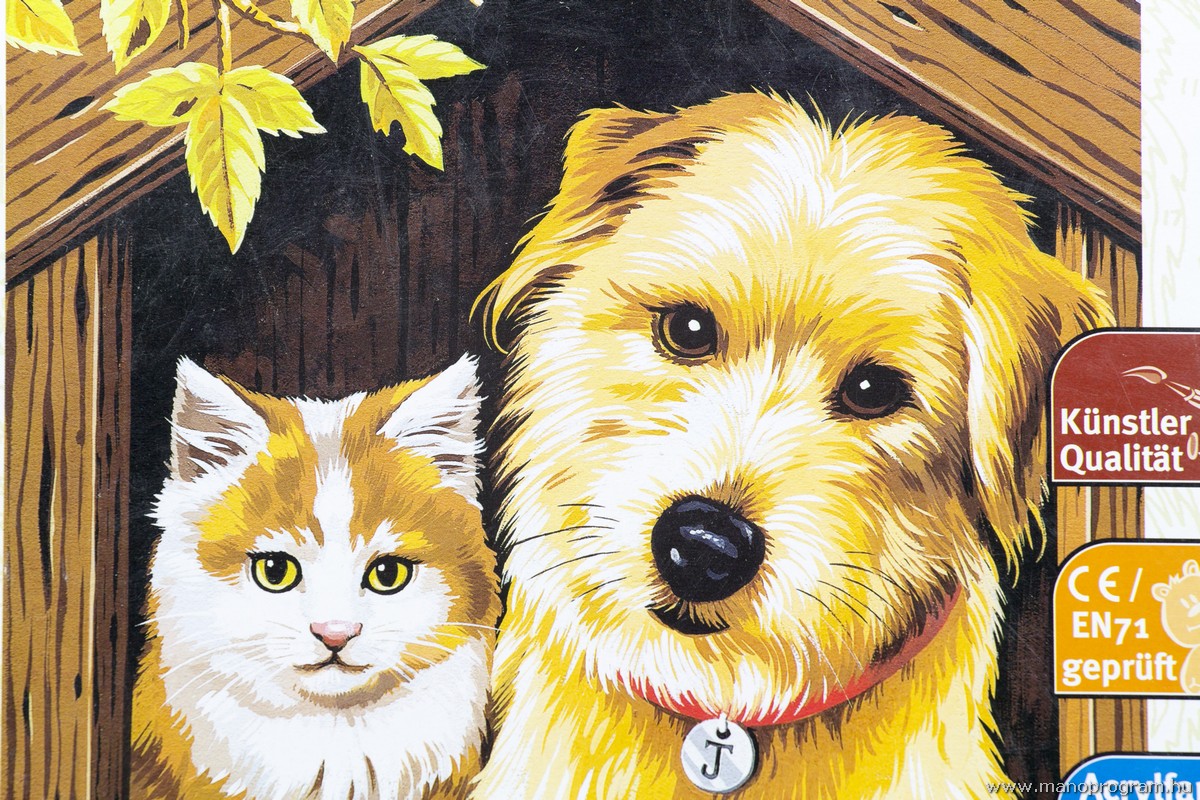 Festés számok után - Kutya és cica